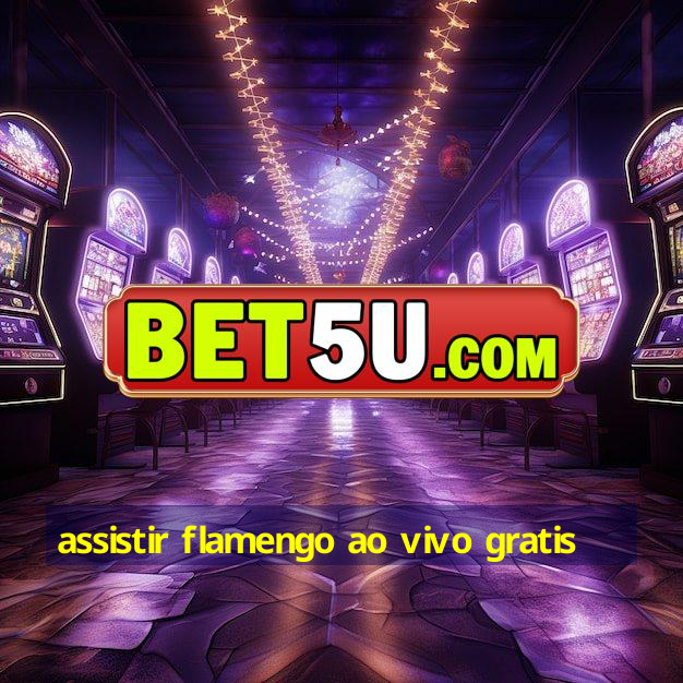 assistir flamengo ao vivo gratis