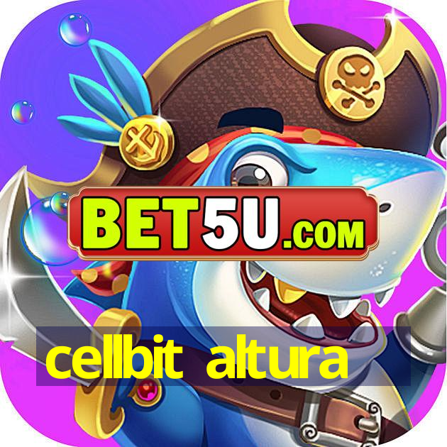 cellbit altura