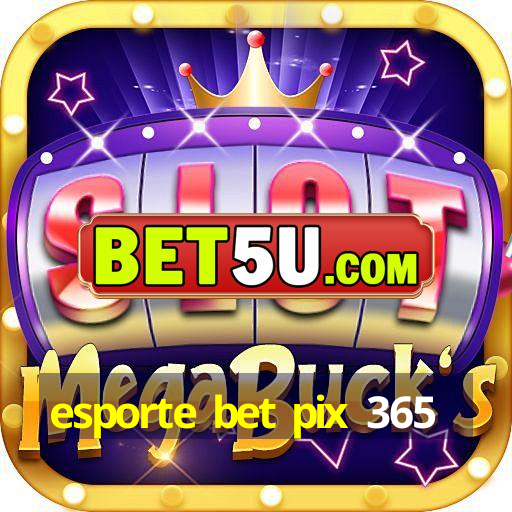 esporte bet pix 365