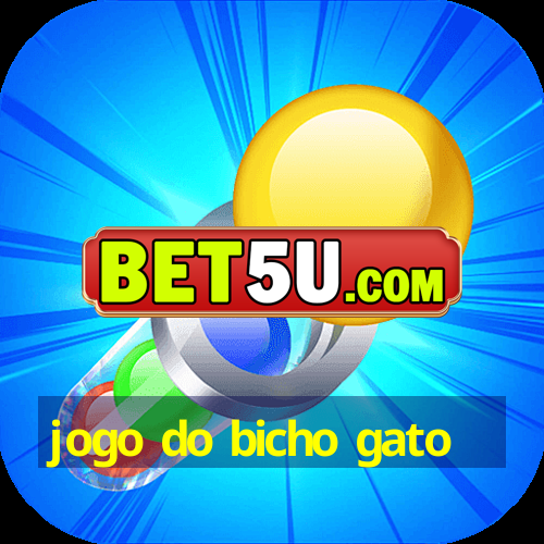 jogo do bicho gato