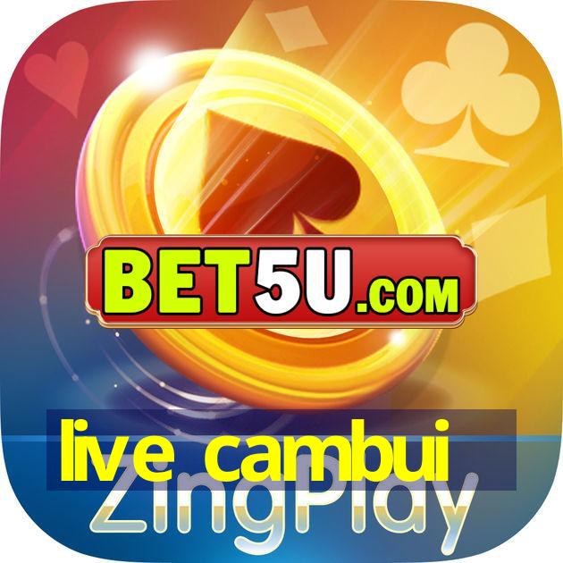 live cambui