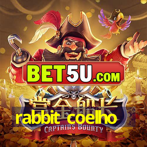 rabbit coelho