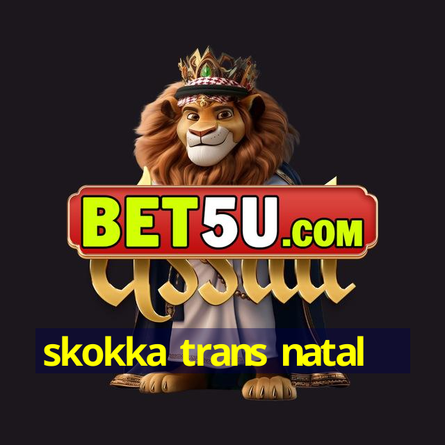 skokka trans natal